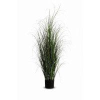 Produktabbildung - Einzelabbildung