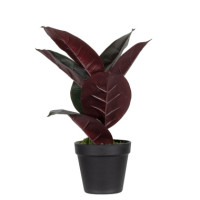 Produktabbildung - Einzelabbildung