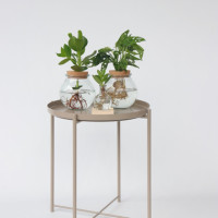 Produktabbildung - Anwendungsabb. ohne Deko