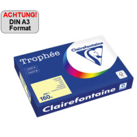 Produktabbildung - Einzelabbildung
