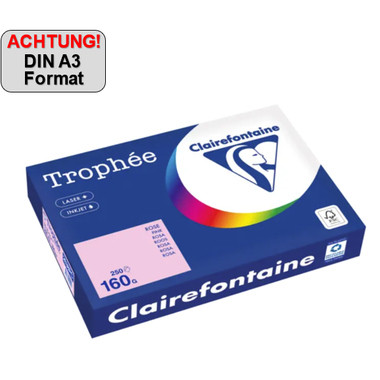 Produktabbildung - Einzelabbildung