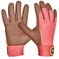 Produktabbildung - Einzelabbildung