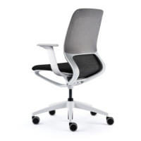 Produktabbildung - Einzelabbildung