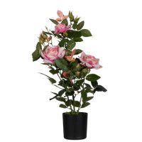 Produktabbildung - Einzelabbildung