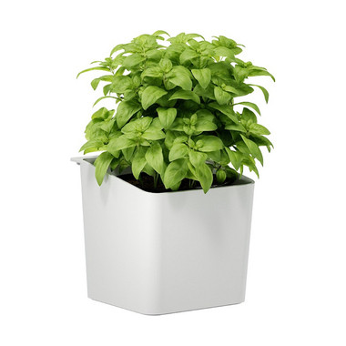 Produktabbildung - Anwendungsabb. ohne Deko