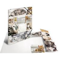 Produktabbildung - Einzelabbildung