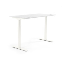 Produktabbildung - Einzelabbildung