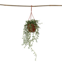 Produktabbildung - Einzelabb. / Anwendungsbsp.