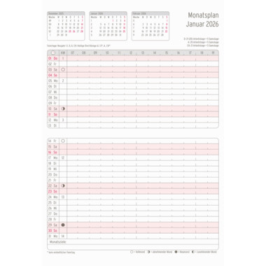 Produktabbildung - Einzelabbildung