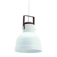 Produktabbildung - Einzelabbildung